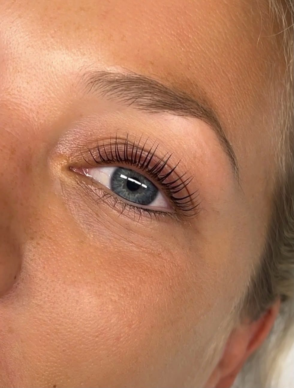 Wimpernbehandlung von Indra Jahn – Ergebnis 1