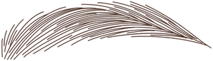 Illustration Augenbraue